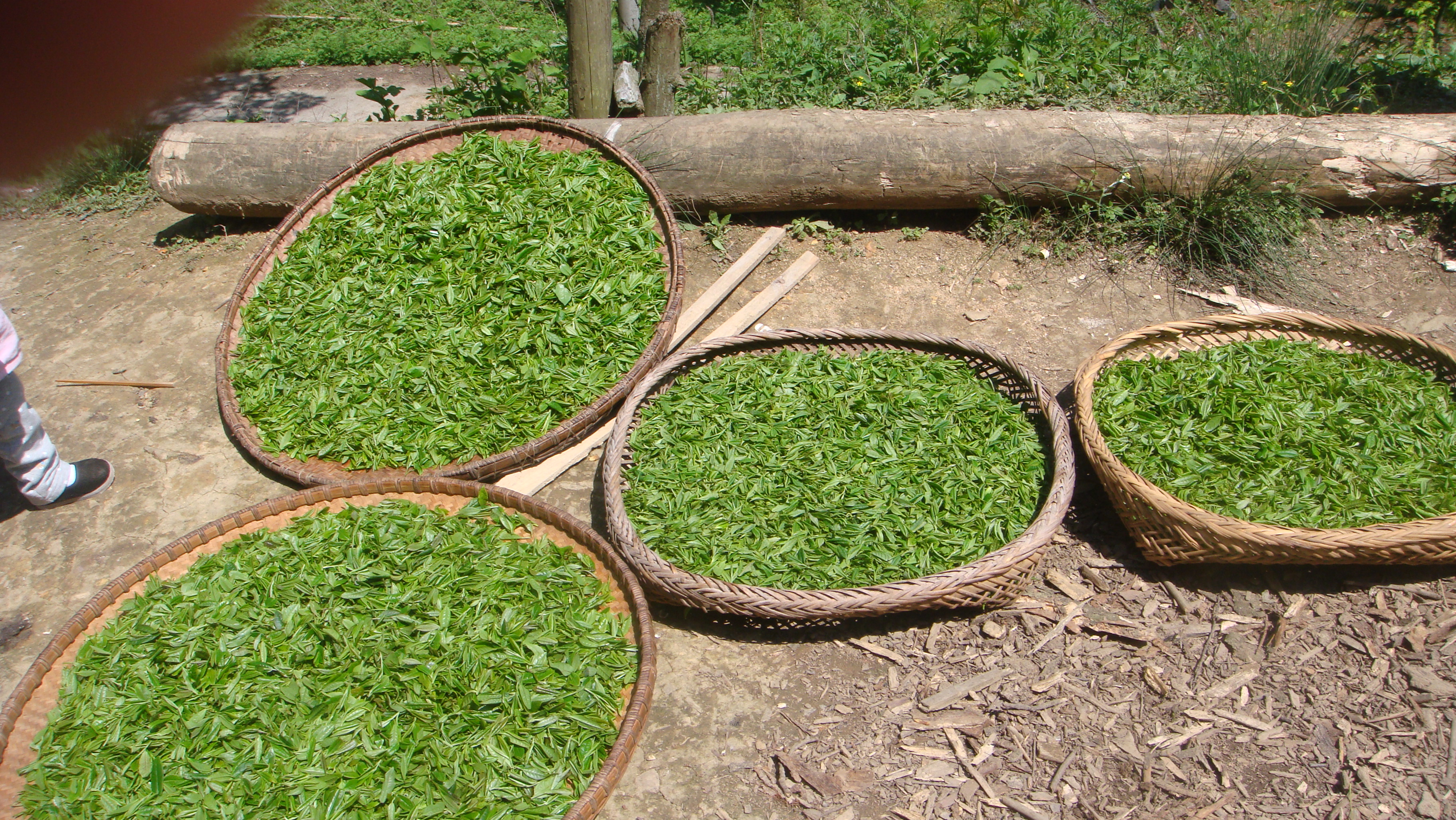 ��ɽ�����裬���н�ѹ�����񡢱���������