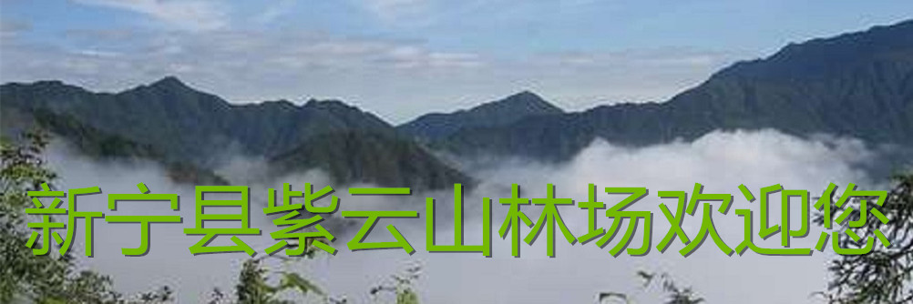 ����ͼƬ��